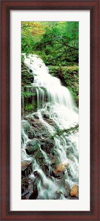 Framed Ganoga Falls Ricketts Glenn State Park PA Print