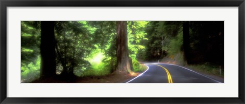 Framed Road, Redwoods, Mendocino County, California, USA Print