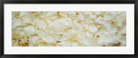 Framed White Rose Petals Print