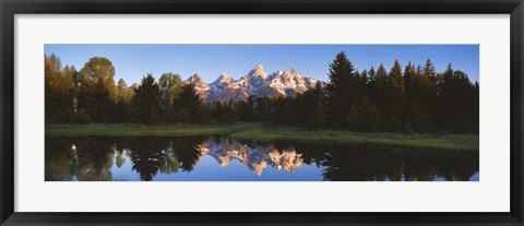 Framed Beaver Pond Grand Teton National Park WY Print