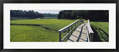 Framed Boardwalk in a field, Nauset Marsh, Cape Cod, Massachusetts, USA Print
