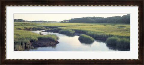 Framed Salt Marsh Cape Cod MA USA Print
