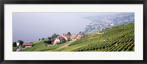 Framed Vineyards, Lausanne, Lake Geneva, Switzerland Print