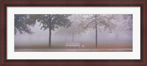 Framed Trees and Bench in Fog Schleissheim Germany Print