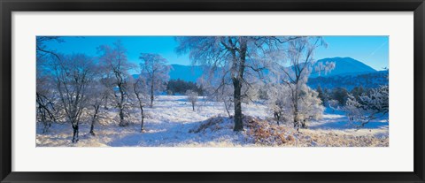Framed Trossachs National Park, Scotland, United Kingdom Print