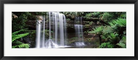 Framed Waterfall in a forest, Russell Falls, Mt Field National Park, Tasmania, Australia Print