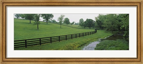 Framed Fence in a field, Woodford County, Kentucky, USA Print