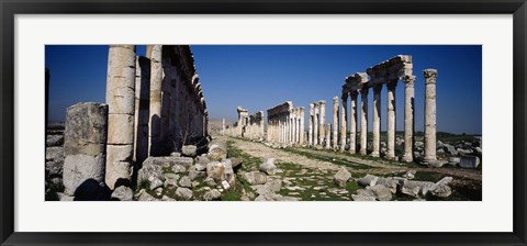 Framed Old ruins on a landscape, Cardo Maximus, Apamea, Syria Print