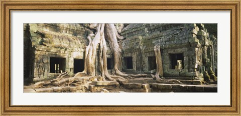 Framed Close up of Old ruins of a building, Angkor Wat, Cambodia Print