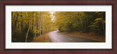 Framed Road passing through a forest, Park Loop Road, Acadia National Park, Mount Desert Island, Maine, USA Print