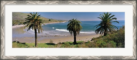Framed High angle view of palm trees on the beach, Refugio State Beach, Santa Barbara, California, USA Print