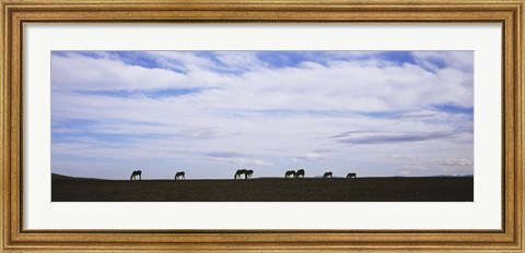 Framed Horses in Field Print