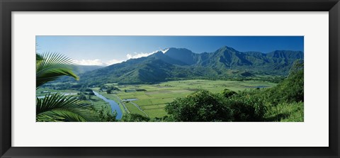 Framed High angle view of taro fields, Hanalei Valley, Kauai, Hawaii, USA Print