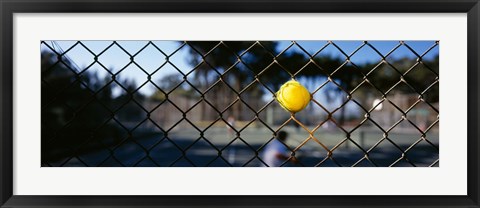 Framed Close-up of a tennis ball stuck in a fence, San Francisco, California, USA Print