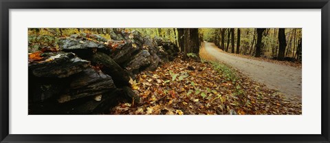 Framed Road passing through a forest, White Mountains, New Hampshire Print