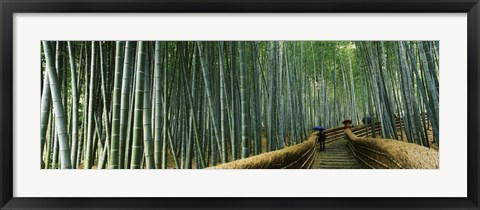 Framed Stepped walkway passing through a bamboo forest, Arashiyama, Kyoto Prefecture, Kinki Region, Honshu, Japan Print