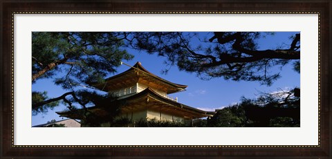 Framed Low angle view of trees in front of a temple, Kinkaku-ji Temple, Kyoto City, Kyoto Prefecture, Kinki Region, Honshu, Japan Print