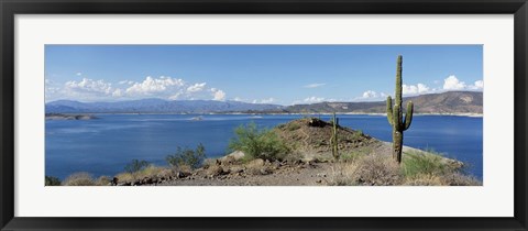 Framed Cactus at the lakeside with a mountain range in the background, Lake Pleasant, Arizona, USA Print