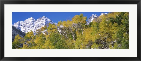 Framed Forest with snowcapped mountains in the background, Maroon Bells, Aspen, Pitkin County, Colorado, USA Print
