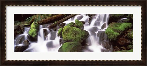 Framed Cascading waterfall in a rainforest, Olympic National Park, Washington State, USA Print