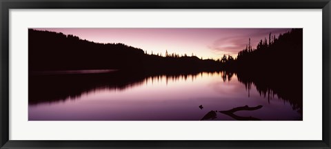 Framed Reflection of trees in a lake, Mt Rainier, Pierce County, Washington State Print