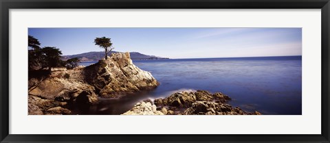 Framed Cypress tree at the coast, The Lone Cypress, 17 mile Drive, Carmel, California Print