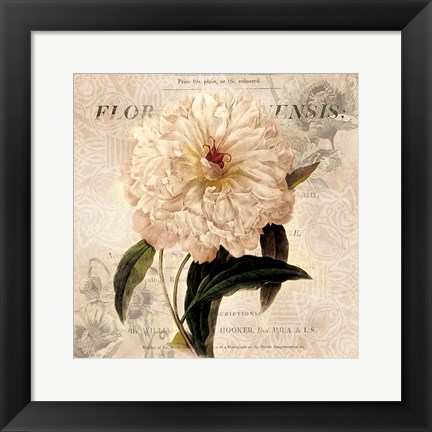 Framed White Peony I Print