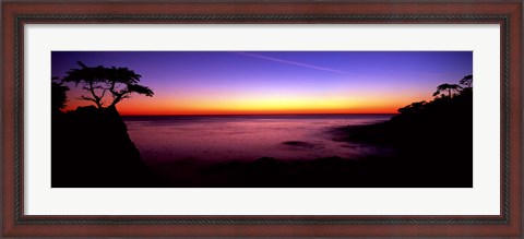 Framed Silhouette of Lone Cypress Tree on a cliff, 17-Mile Drive, Pebble Beach, Carmel, Monterey County, California, USA Print