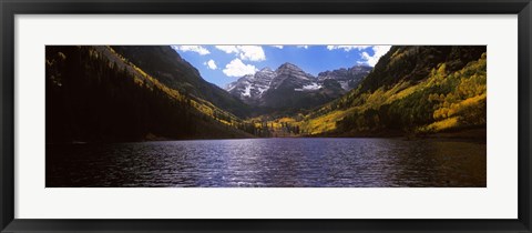 Framed Trees in a forest, Snowmass Wilderness Area, Maroon Bells, Colorado, USA Print