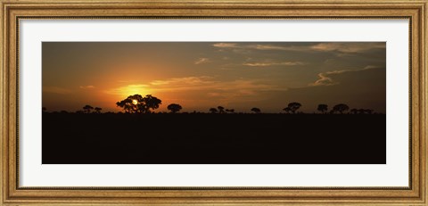 Framed Sunset over the savannah plains, Kruger National Park, South Africa Print