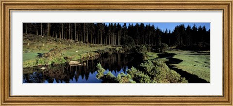 Framed River flowing through a forest, East Dart River, Dartmoor, Devon, England Print
