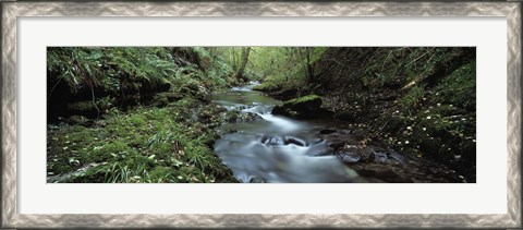 Framed River flowing through a forest, River Lyd, Lydford Gorge, Dartmoor, Devon, England Print