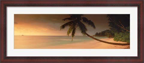 Framed Silhouette of a palm tree on the beach at sunset, Anse Severe, La Digue Island, Seychelles Print