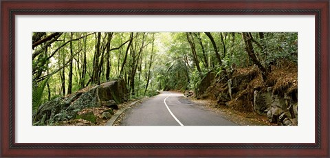 Framed Road passing through an indigenous forest, Mahe Island, Seychelles Print