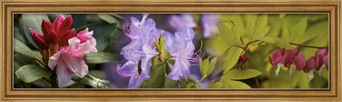 Framed Details of bright colors flowers Print