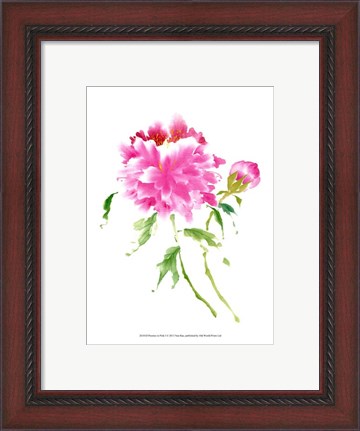 Framed Peonies in Pink I Print