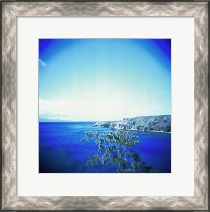 Framed Holga Hawaii I Print