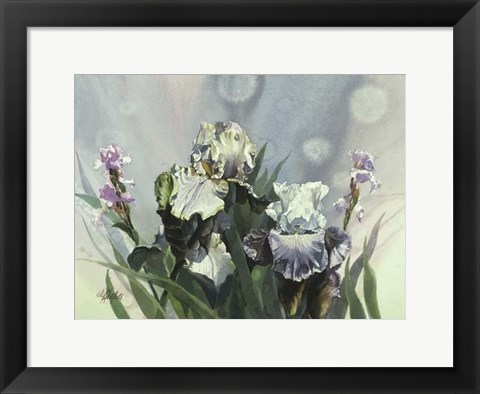 Framed Hadfield Irises III Print