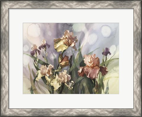 Framed Hadfield Irises V Print