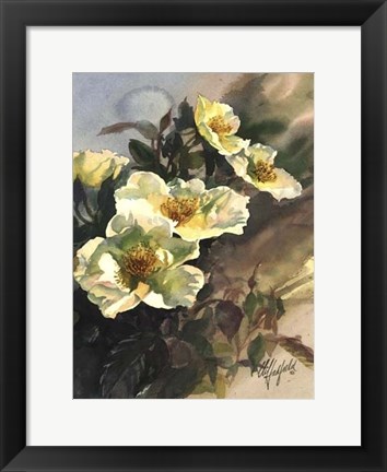 Framed Hadfield Roses I Print