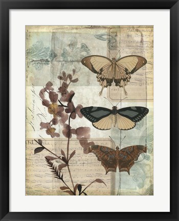 Framed Music Box Butterflies II Print
