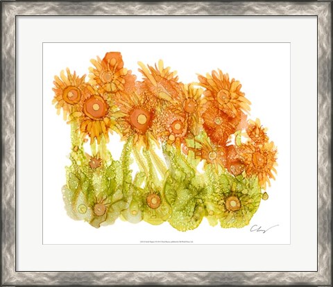 Framed Sunlit Poppies I Print