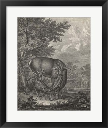 Framed Woodland Deer IV Print