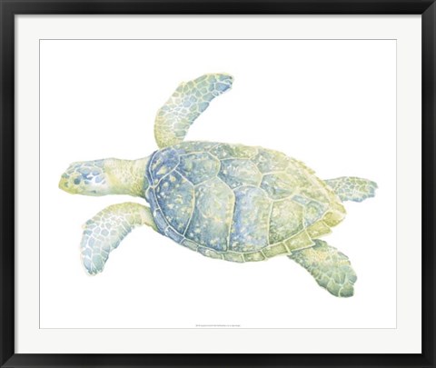 Framed Tranquil Sea Turtle II Print