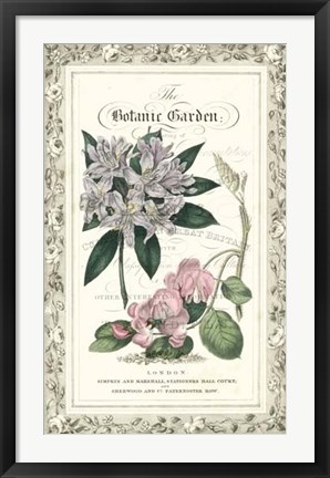 Framed Botanic Garden II Print