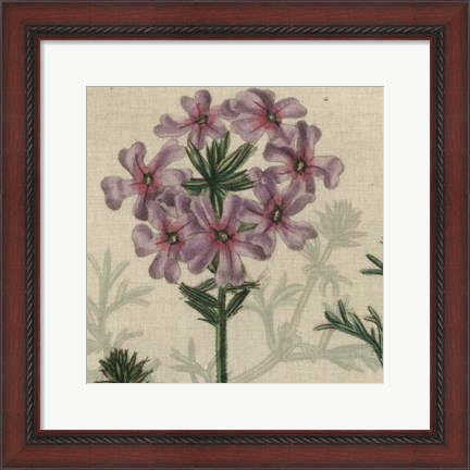 Framed Floral Delight VI Print