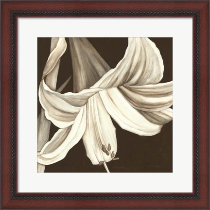 Framed Sepia Lily III Print