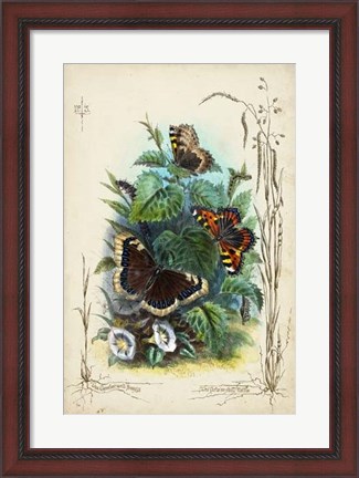 Framed Victorian Butterfly Garden IV Print