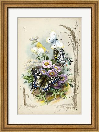 Framed Victorian Butterfly Garden V Print