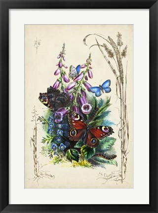 Framed Victorian Butterfly Garden VI Print